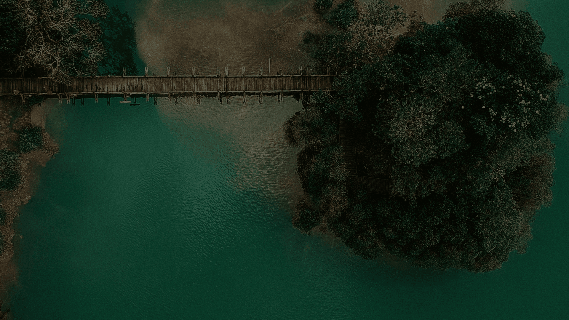 Aerial ocean view