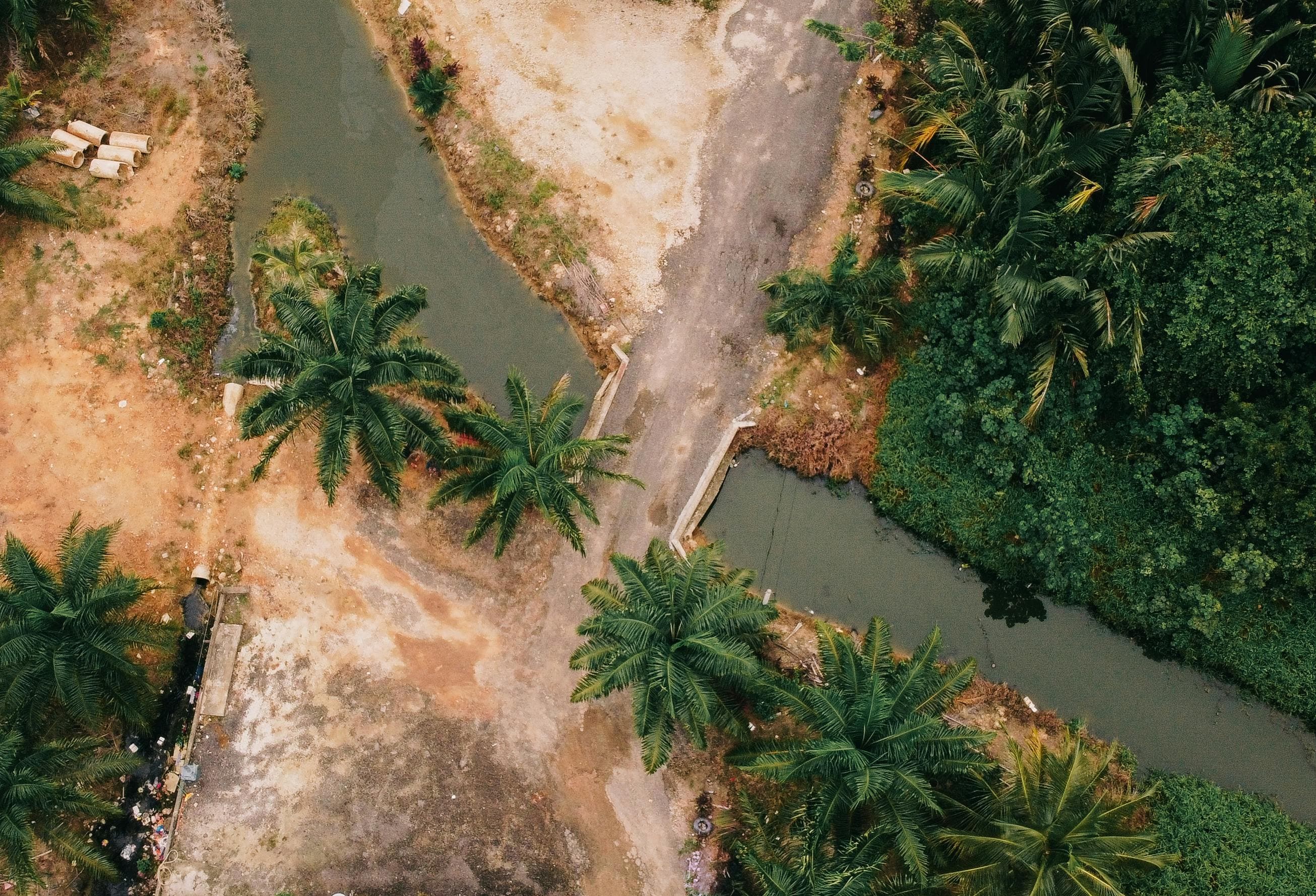 Aerial ocean view